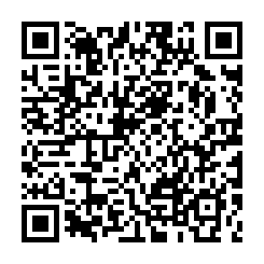 QR code for Michael Wheatland on Matrix