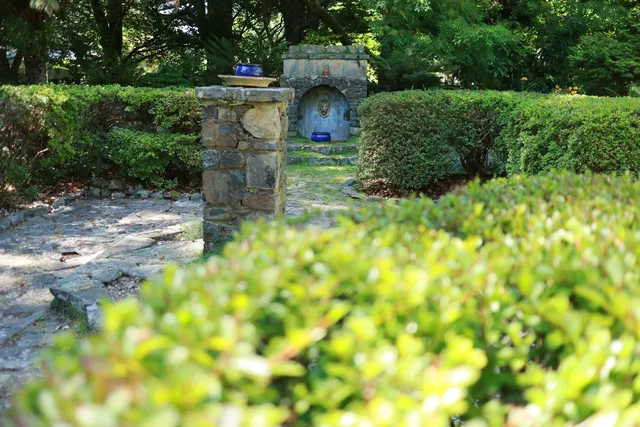 Garden photograph backdrop
